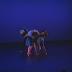 Performance video from Dance Theater Workshop presents "The DTW Works" - June 1, 1989